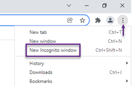 Google Chrome Incognito Window