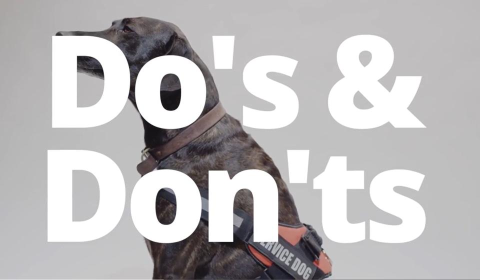 Do's and Don'ts - Service Dog Etiquette 